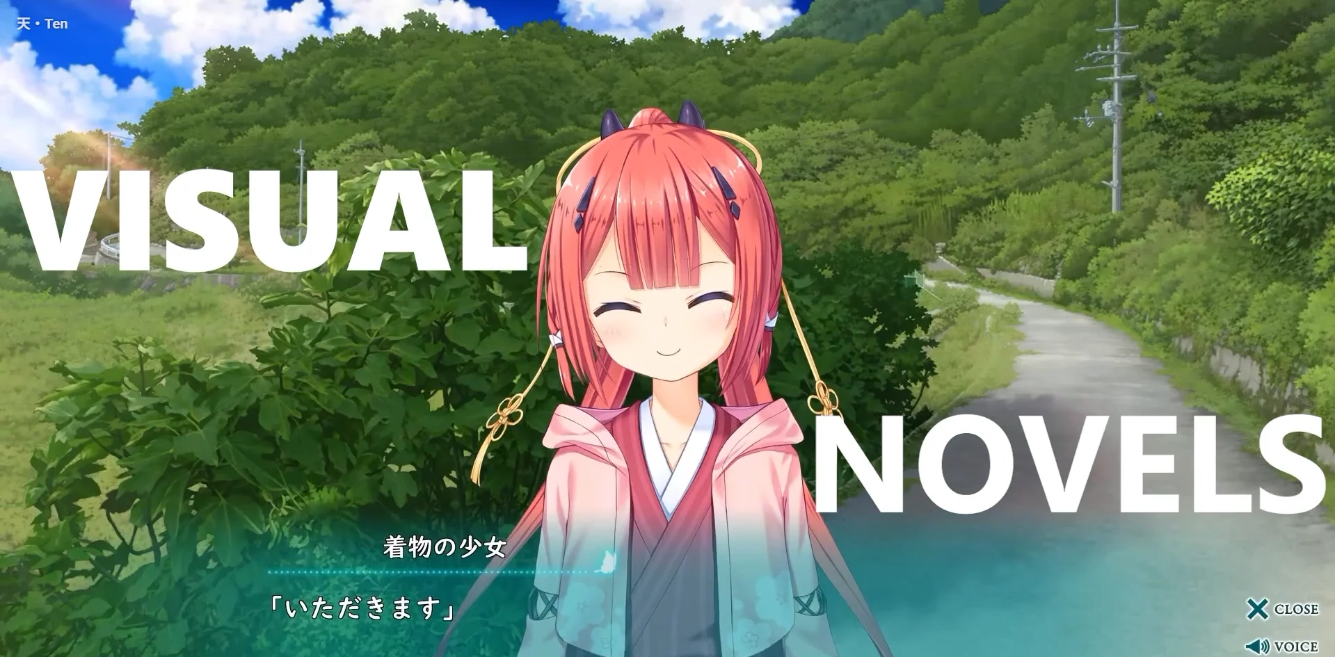 Visual Novels